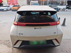 BYD Seagull 2025 305km Vitality Edition - ფოტო 6