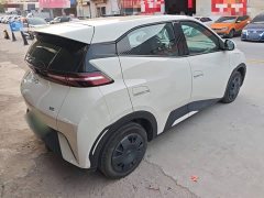 BYD Seagull 2025 305km Vitality Edition - ფოტო 7