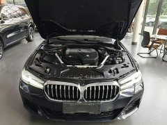 BMW 5 Series Facelift 530Li Luxury M Sport Package - ფოტო 20