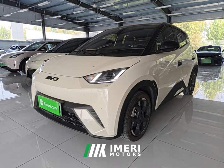 BYD Seagull 305km Freedom Edition - ავტომობილი ჩინეთიდან