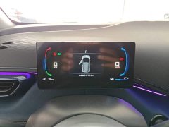 BYD Seagull 305km Freedom Edition - ფოტო 12