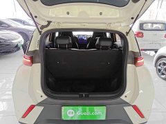BYD Seagull 305km Freedom Edition - ფოტო 19