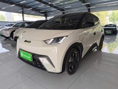 BYD Seagull 305km Freedom Edition - ფოტო 2