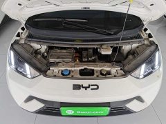 BYD Seagull 305km Freedom Edition - ფოტო 20