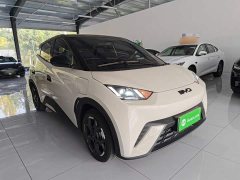 BYD Seagull 305km Freedom Edition - ფოტო 4