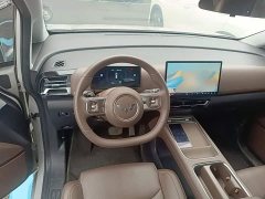 Wuling Starlight 730 New Energy Pure Electric 500km Luxury - ფოტო 15