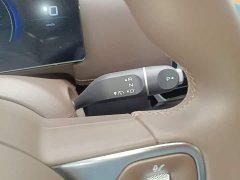 Wuling Starlight 730 New Energy Pure Electric 500km Luxury - ფოტო 19