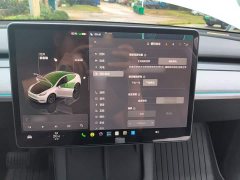Tesla Model Y Rear-Wheel Drive - ფოტო 18