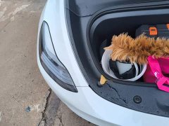 Tesla Model Y Rear-Wheel Drive - ფოტო 19