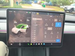 Tesla Model Y Rear-Wheel Drive - ფოტო 4