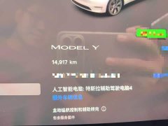 Tesla Model Y Rear-Wheel Drive - ფოტო 5