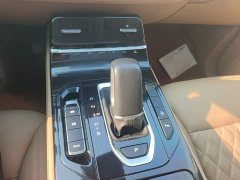 Wuling Kaijet 2.0L DHT Luxury - ფოტო 14