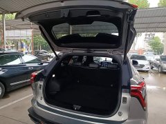 Haval Divine Beast 1.5T Smart Enjoy Edition - ფოტო 15