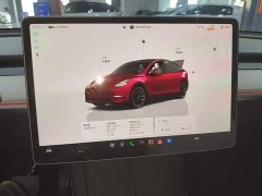 Tesla Model Y Rear-Wheel Drive - ფოტო 12