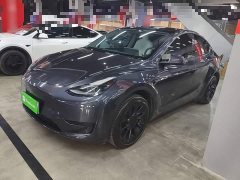 Tesla Model Y Rear-Wheel Drive - ფოტო 2
