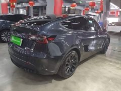 Tesla Model Y Rear-Wheel Drive - ფოტო 7