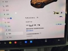 Tesla Model 3 Rear-Wheel Drive - ფოტო 12
