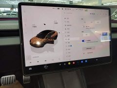 Tesla Model 3 Rear-Wheel Drive - ფოტო 13