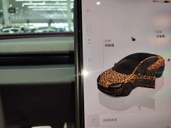 Tesla Model 3 Rear-Wheel Drive - ფოტო 14