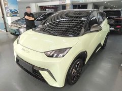 BYD Seagull 2023 Freedom Edition - ფოტო 1