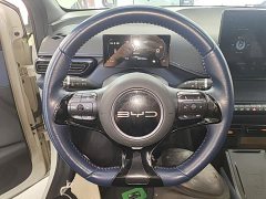 BYD Seagull 2023 Freedom Edition - ფოტო 11