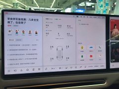Li Auto i6 Four-Wheel Drive Standard Edition - ფოტო 12