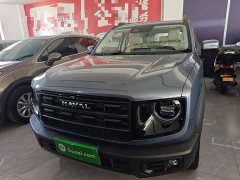 Great Wall Dachshund 2026 1.5T DCT Border Collie Edition - ფოტო 3