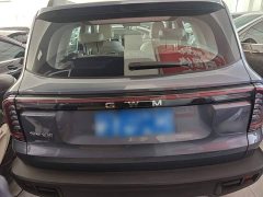 Great Wall Dachshund 2026 1.5T DCT Border Collie Edition - ფოტო 4