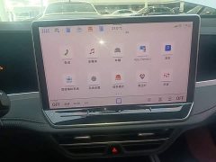 Volkswagen Magotan 2024 300TSI DSG Prestige Edition with Eye-Catching Package - ფოტო 13