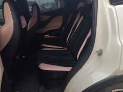 BYD Seagull Glory Edition 405km Flying Edition - ფოტო 15