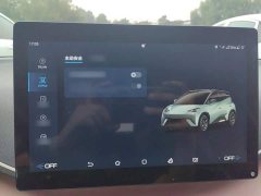 BYD Seagull Glory Edition 405km Flying Edition - ფოტო 19