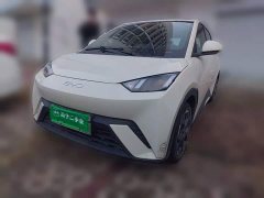 BYD Seagull Glory Edition 405km Flying Edition - ფოტო 2
