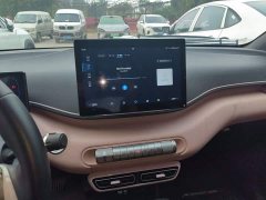 BYD Seagull Glory Edition 405km Flying Edition - ფოტო 6