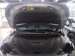 Arcfox Alpha-S 735E Forest Edition 160kW - ფოტო 20