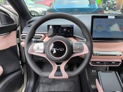 BYD Seagull 305km Vitality Edition - ფოტო 11