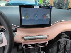 BYD Seagull 305km Vitality Edition - ფოტო 13