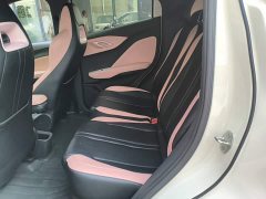 BYD Seagull 305km Vitality Edition - ფოტო 17