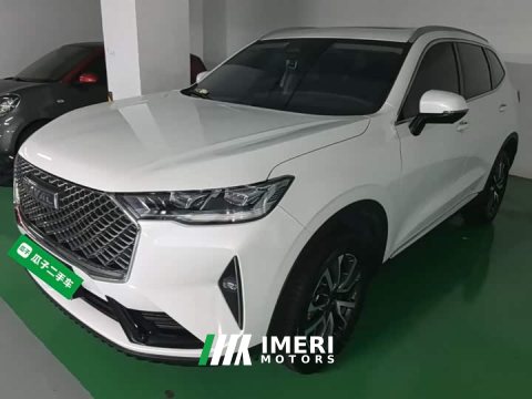 2023 Haval H6 2022 Third Generation 1.5T Automatic Two-Wheel Drive Max - ავტომობილი ჩინეთიდან