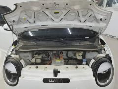 Changan Lumin 205km Xiangqin Edition - ფოტო 16