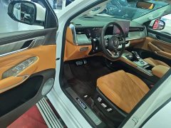 Tank 500 3.0T Sport Landscape 5-Seater - ფოტო 16