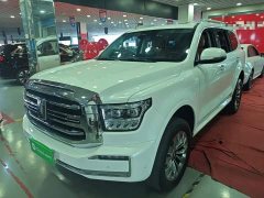 Tank 500 3.0T Sport Landscape 5-Seater - ფოტო 2