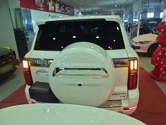 Tank 500 3.0T Sport Landscape 5-Seater - ფოტო 6