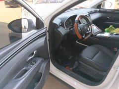 Hyundai Tucson L 1.5T Automatic Two-Wheel Drive GLX Elite - ფოტო 16