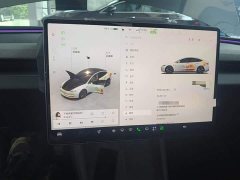 Tesla Model 3 2023 Rear-Wheel Drive - ფოტო 12