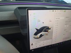 Tesla Model 3 2023 Rear-Wheel Drive - ფოტო 14