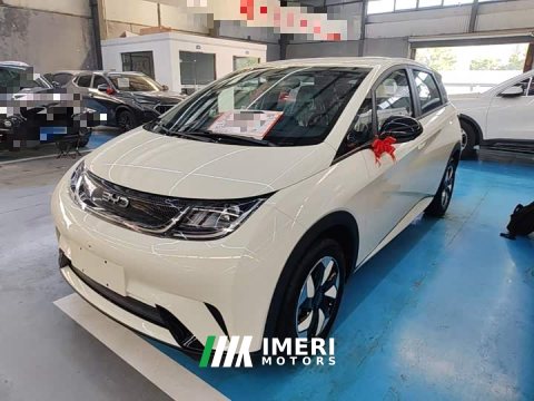2026 BYD Dolphin 2025 420km Freedom Edition - ავტომობილი ჩინეთიდან