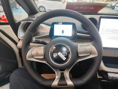 BYD Dolphin 2025 420km Freedom Edition - ფოტო 11