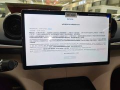 BYD Dolphin 2025 420km Freedom Edition - ფოტო 13