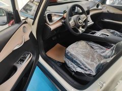 BYD Dolphin 2025 420km Freedom Edition - ფოტო 16