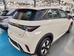 BYD Dolphin 2025 420km Freedom Edition - ფოტო 7
